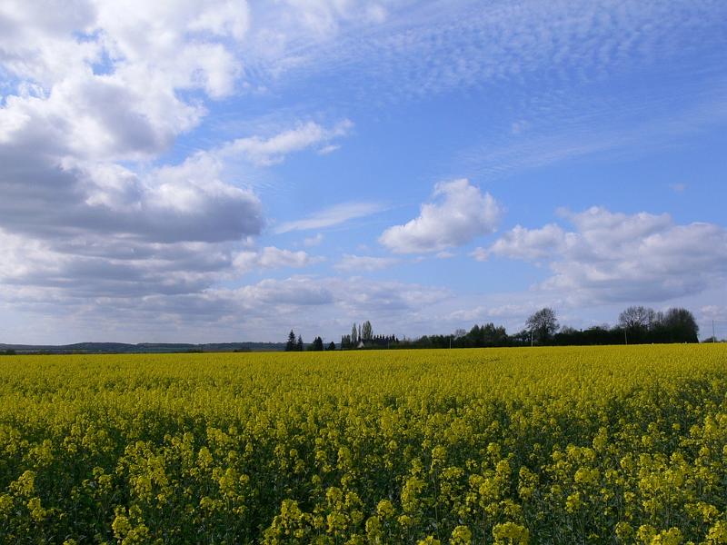 Mont Saint Michel 2010 - 140.jpg